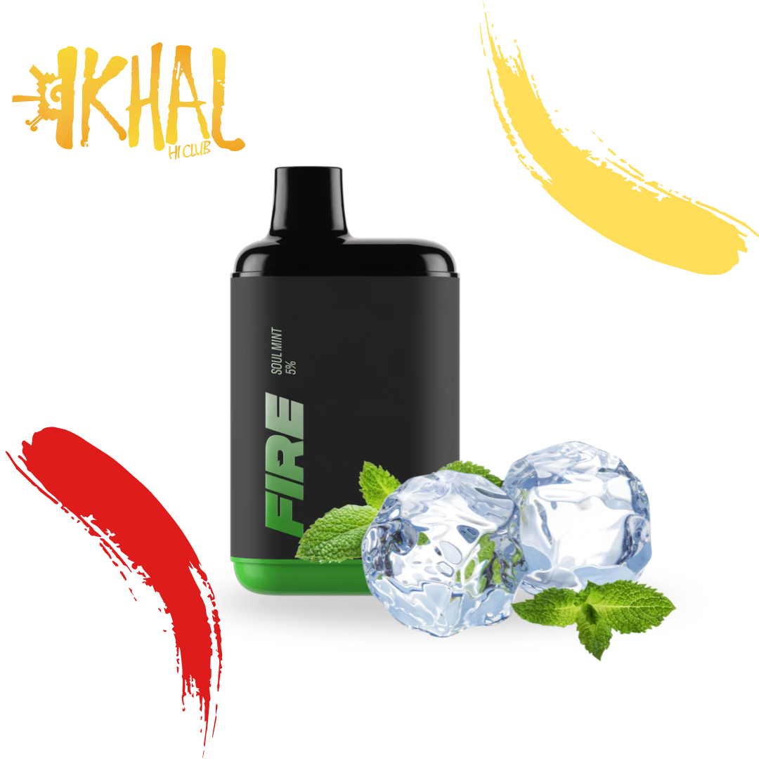Fire XL 6000 Puffs / Desechable