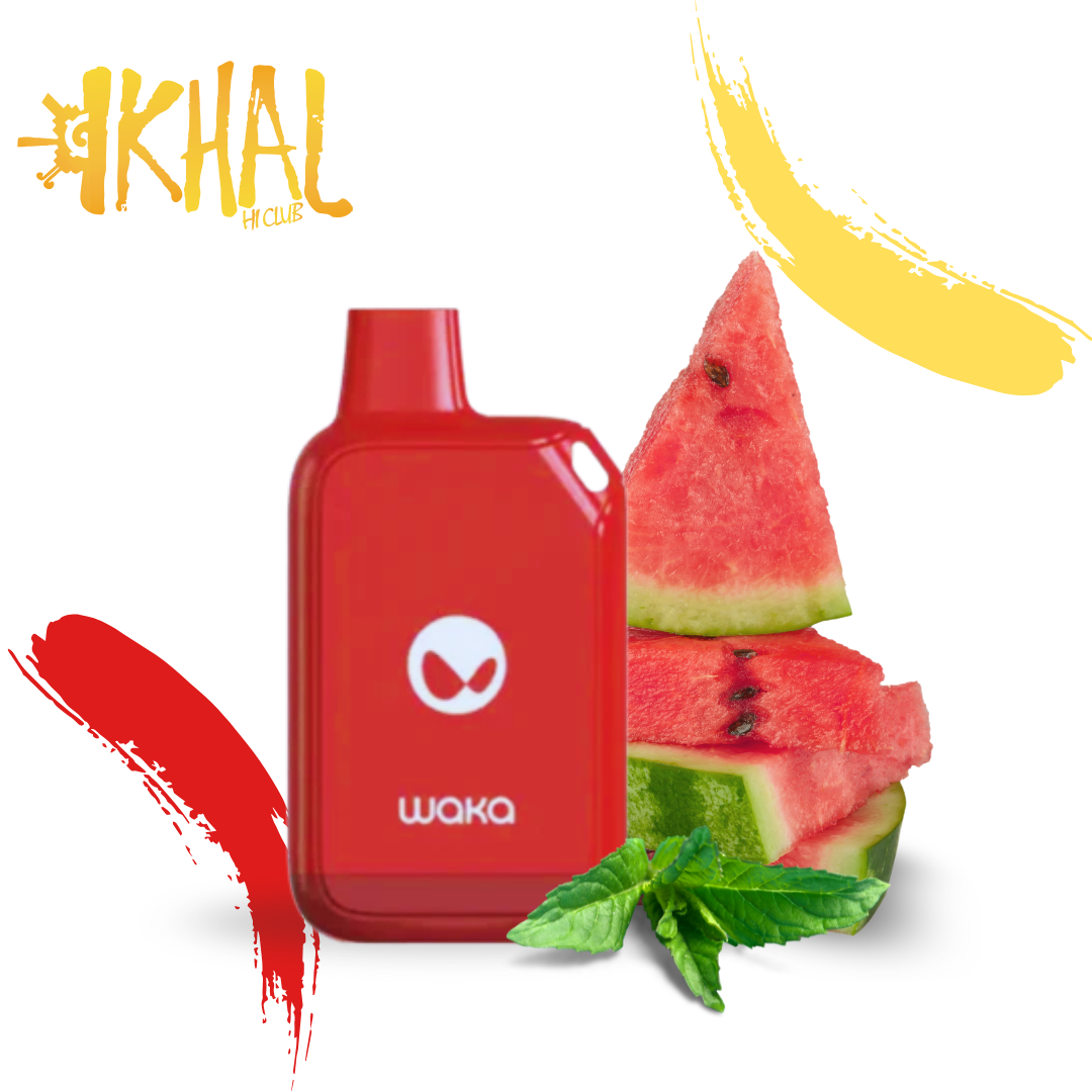 Waka Pocket 5000 puffs / Desechables