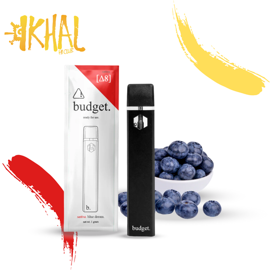 Δ8 Starter Desechable / Budget (1 pz)