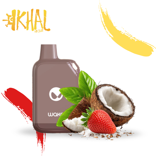 Waka Pocket 5000 puffs / Desechables