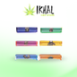 Maquina Roladora 1 1/4 / Lion Rolling Circus