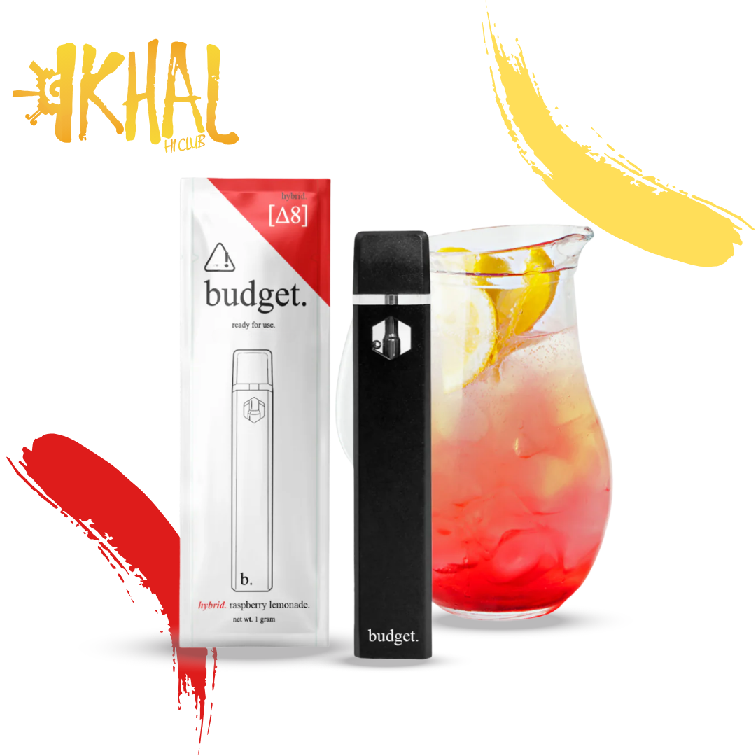 Δ8 Starter Desechable / Budget (1 pz)